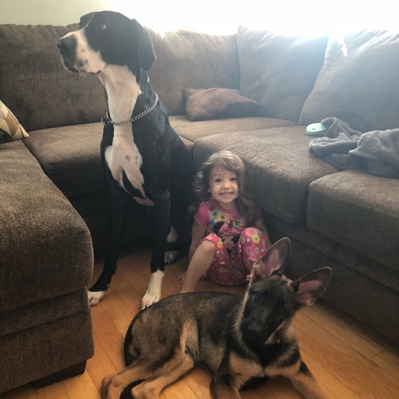 Meet your Posher, Kelsie - Picture 3 of 4